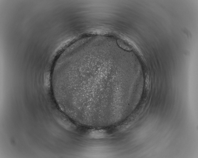 X0000113270403200910011432