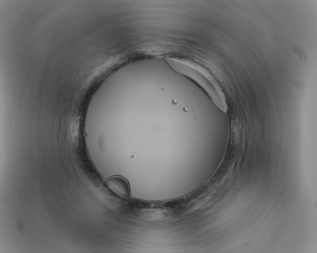 X0000113270404200910011432