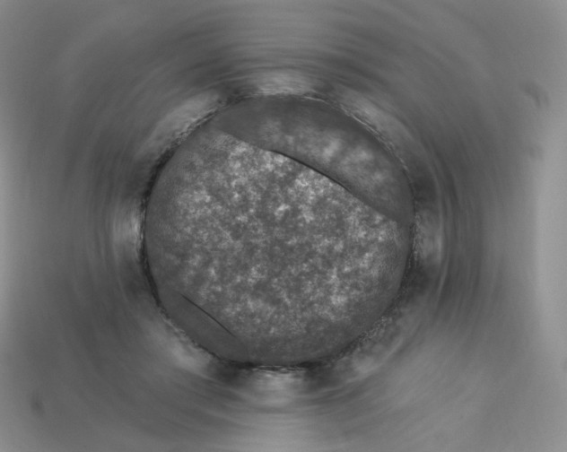 X0000113270405200910011432