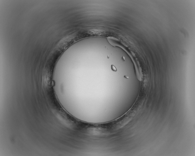 X0000113270408200910011432