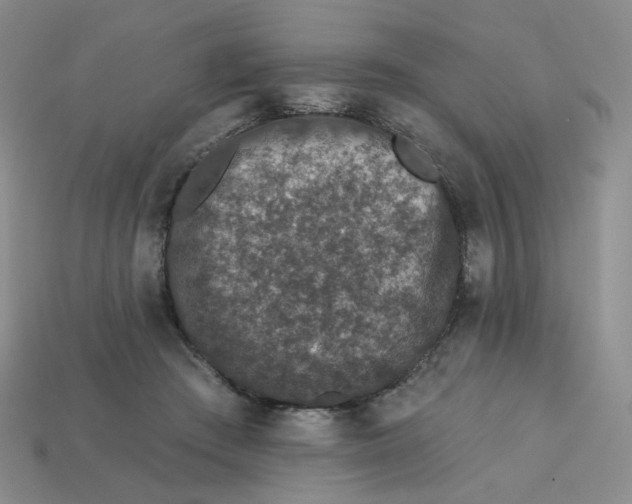 X0000113270409200910011432