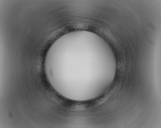 X0000113270416200910011432