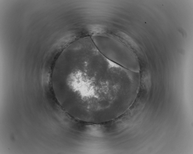 X0000113270417200910011432