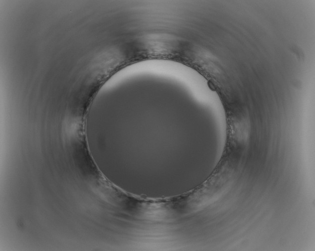 X0000113270419200910011432