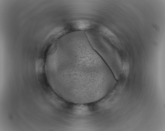 X0000113270421200910011432