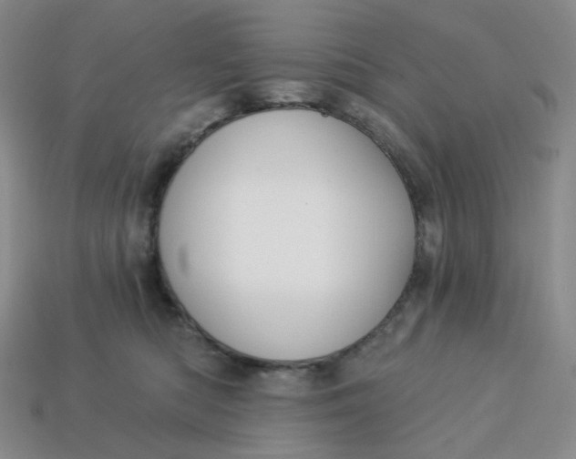 X0000113270422200910011432