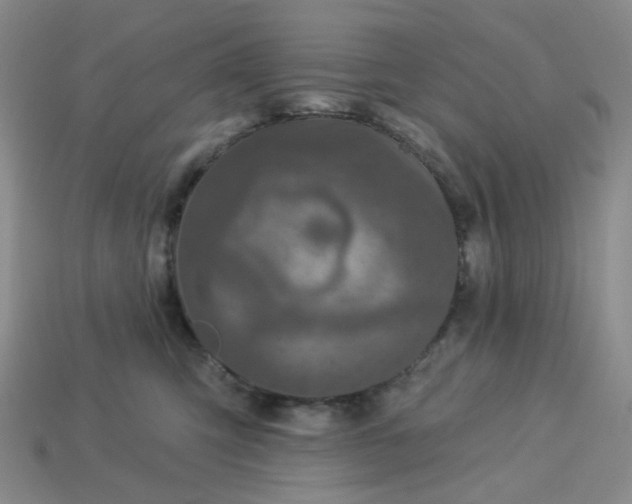 X0000113270423200910011432