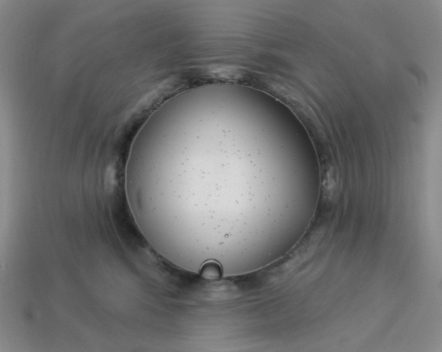 X0000113270424200910011432