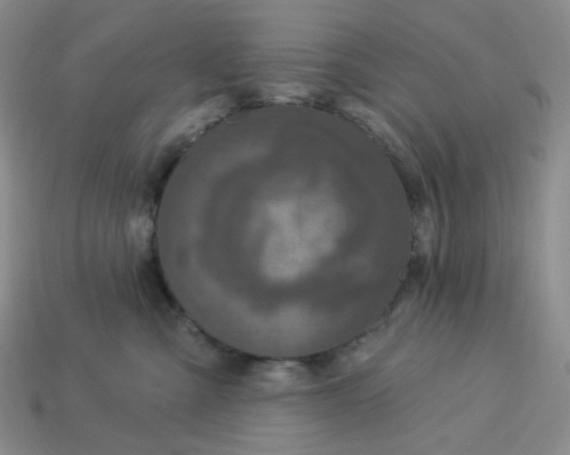 X0000113270427200910011432