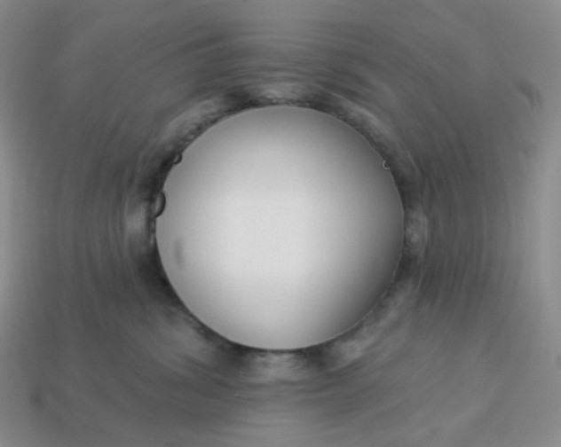 X0000113270428200910011432