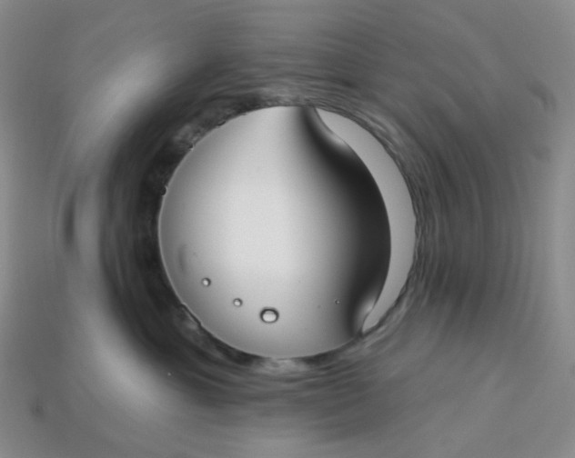 X0000113270429200910011432