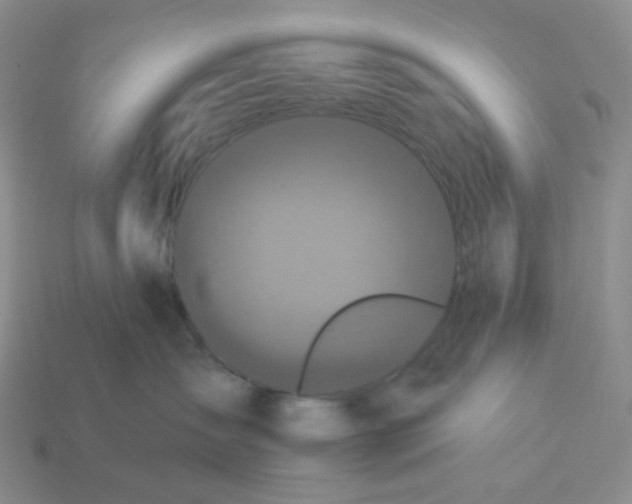 X0000113270431200910011432