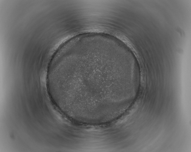 X0000113270434200910011431