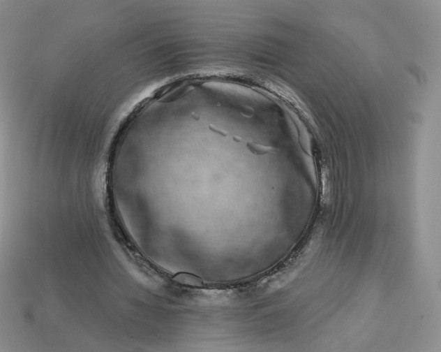 X0000113270436200910011431