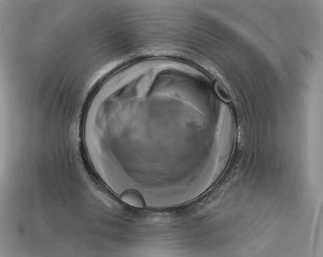 X0000113270438200910011431