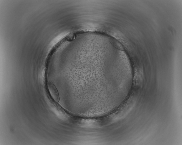 X0000113270440200910011431