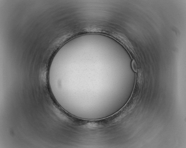 X0000113270441200910011431