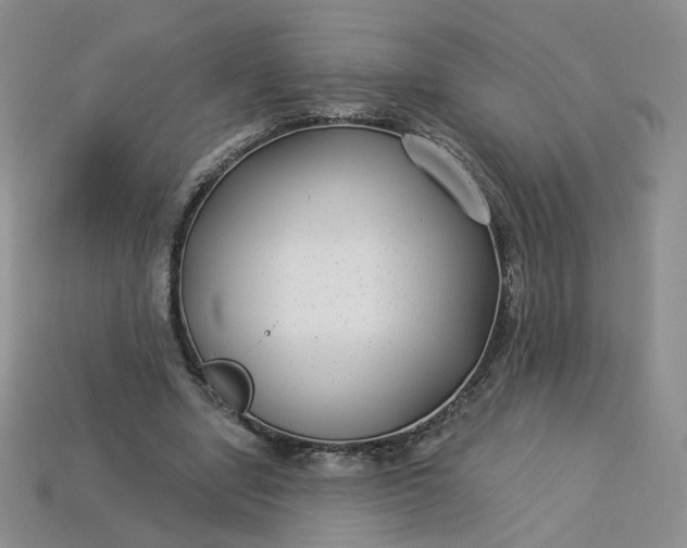 X0000113270442200910011431