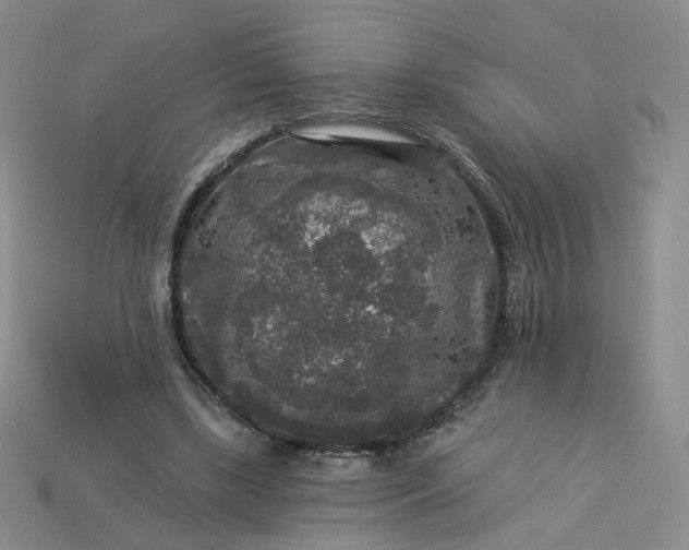 X0000113270443200910011431