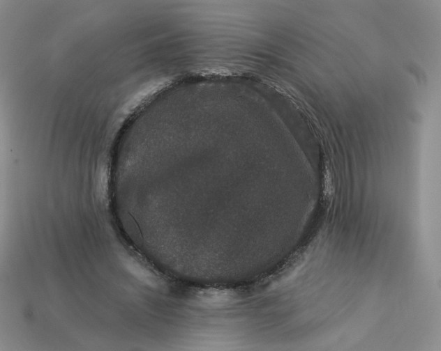 X0000113270444200910011431