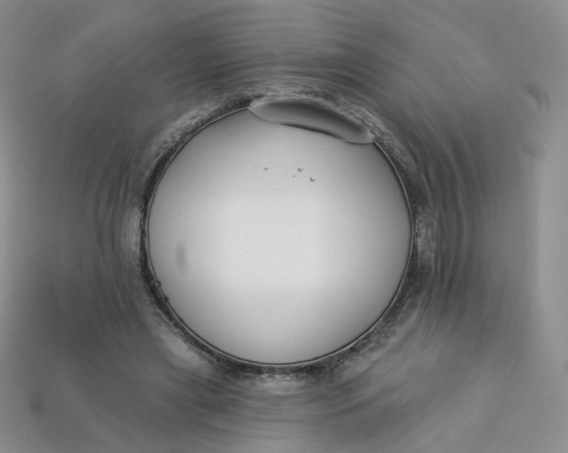 X0000113270445200910011431