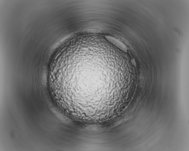 X0000113270446200910011431