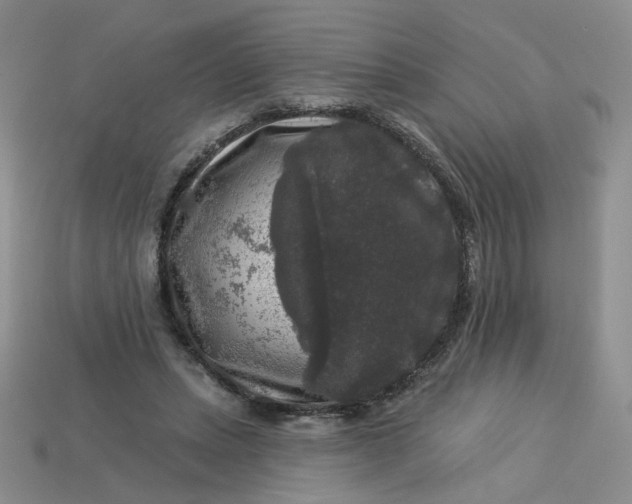 X0000113270447200910011431