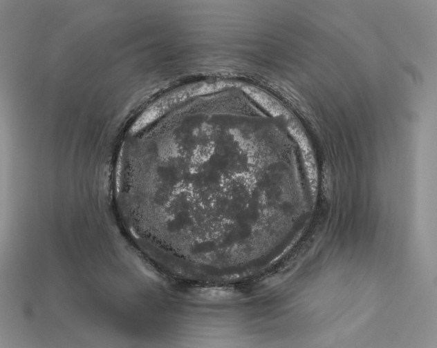 X0000113270449200910011431