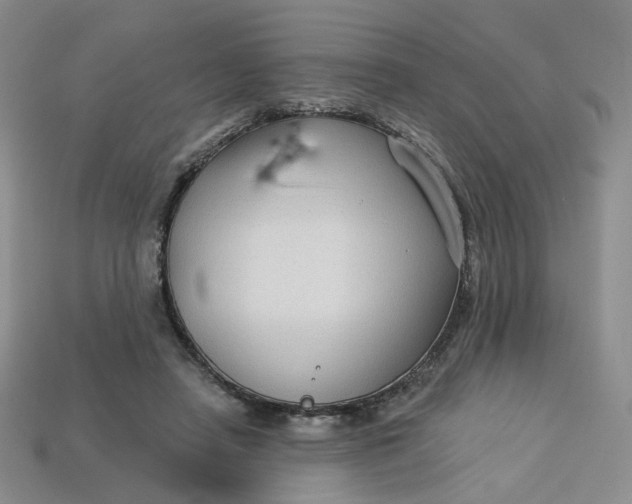 X0000113270450200910011431