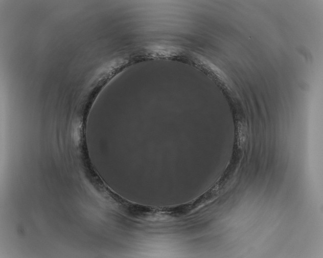 X0000113270451200910011431