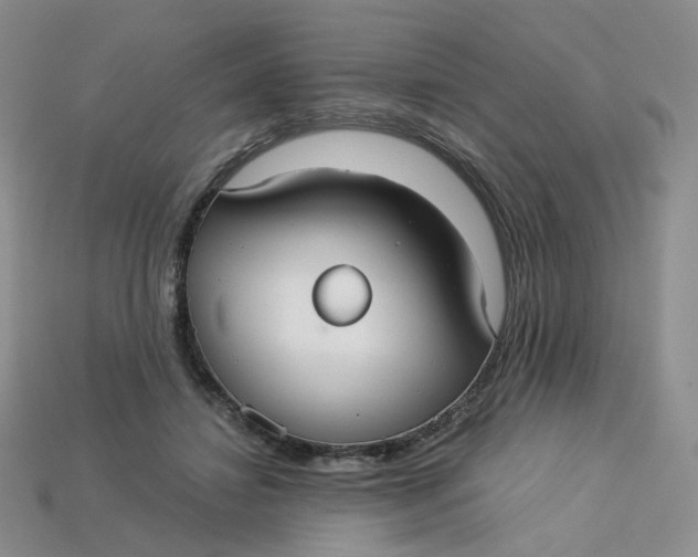 X0000113270452200910011431