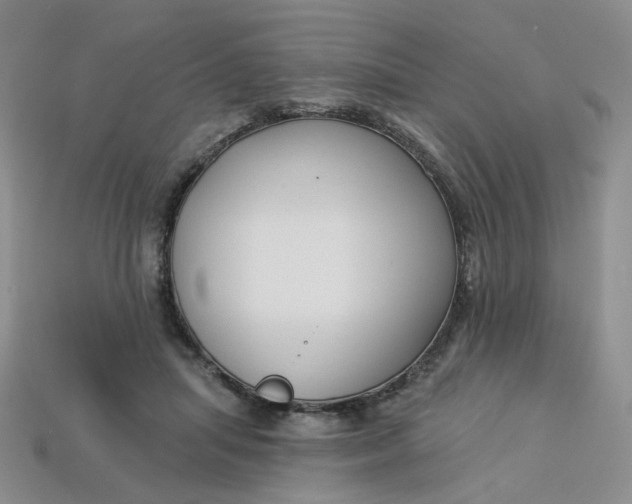 X0000113270455200910011431