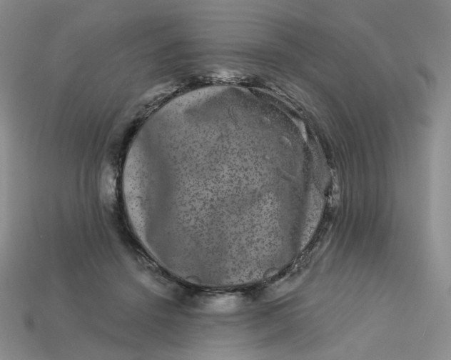 X0000113270456200910011431