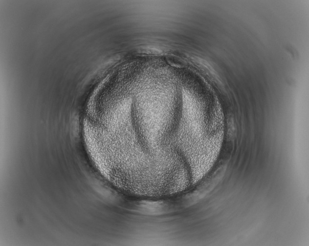 X0000113270457200910011431