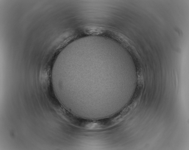 X0000113270460200910011431