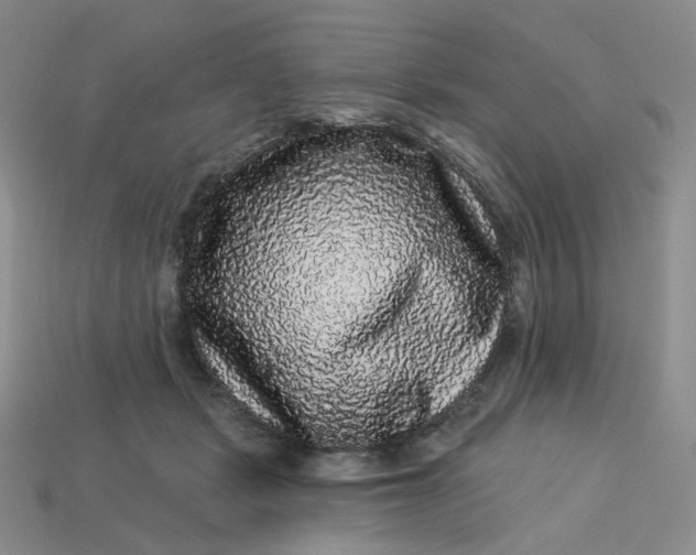 X0000113270461200910011431