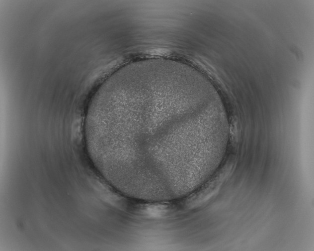 X0000113270462200910011431