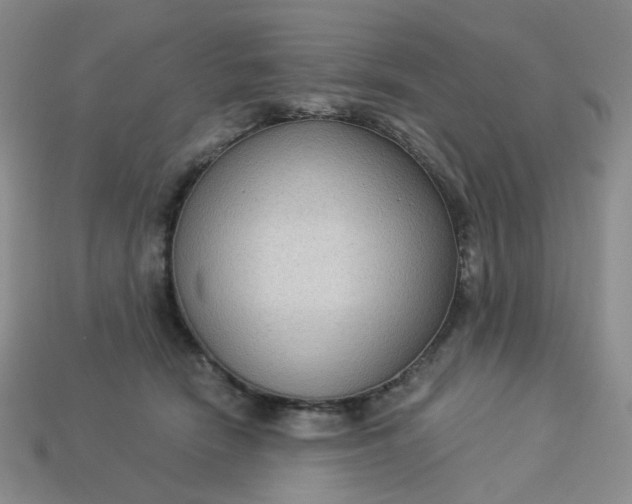 X0000113270466200910011432