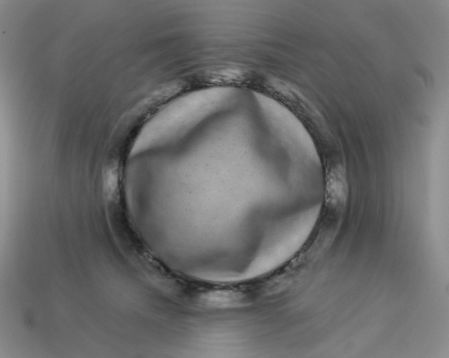 X0000113270468200910011432