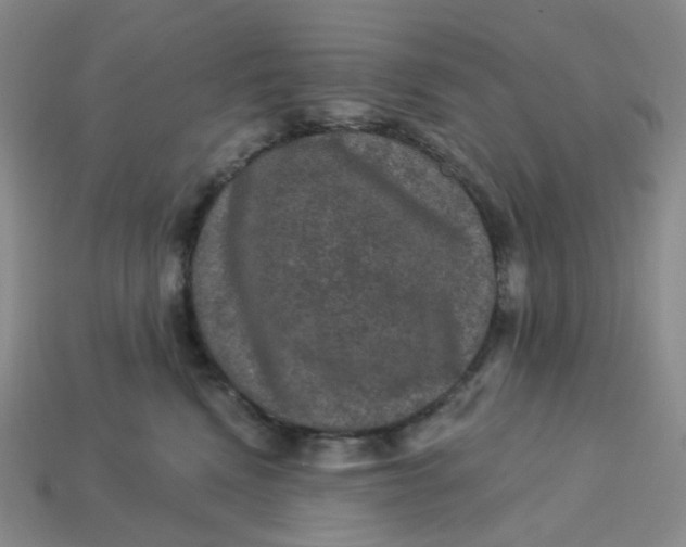 X0000113270472200910011432