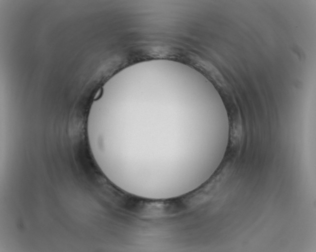 X0000113270473200910011432