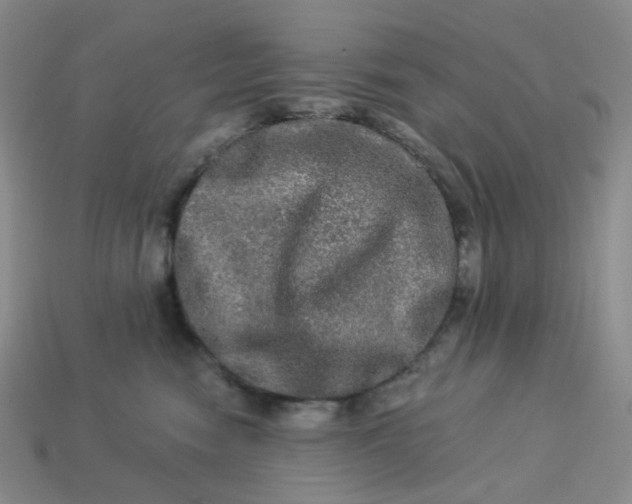 X0000113270474200910011432