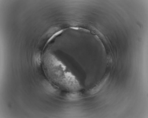 X0000113270479200910011432