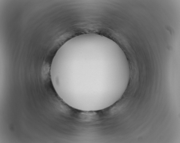 X0000113270480200910011432