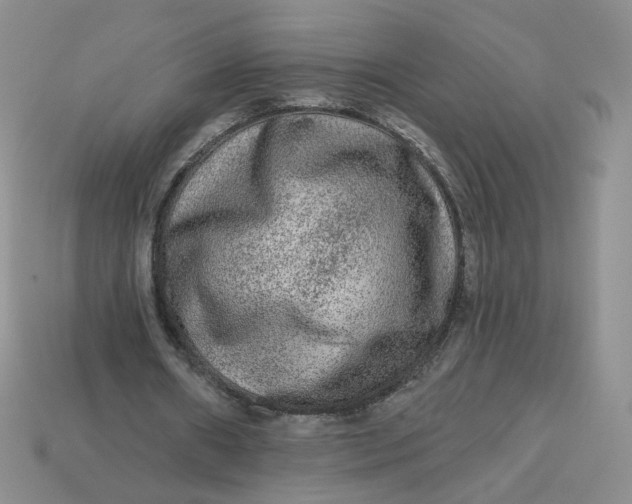 X0000113270482200910011431