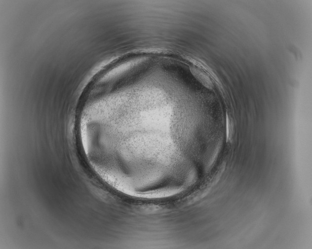 X0000113270483200910011431