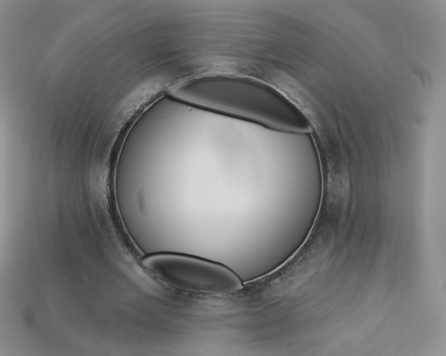 X0000113270485200910011431