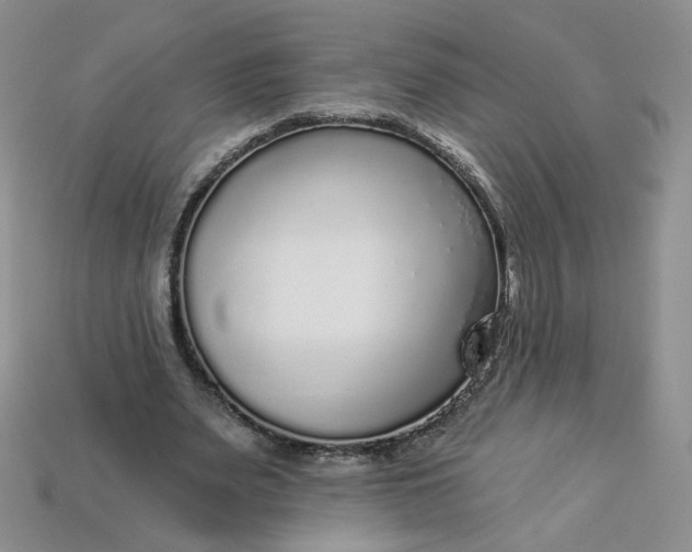 X0000113270487200910011431