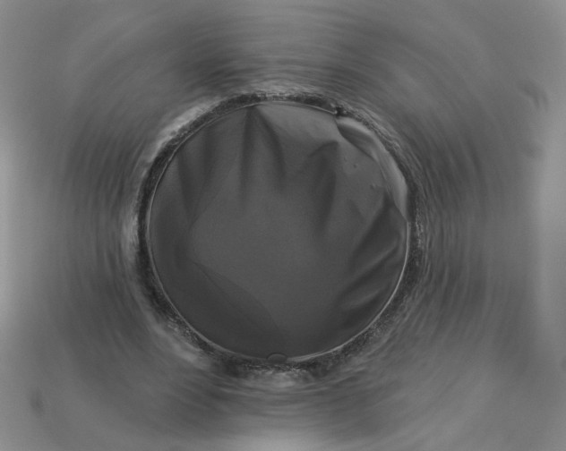 X0000113270488200910011431