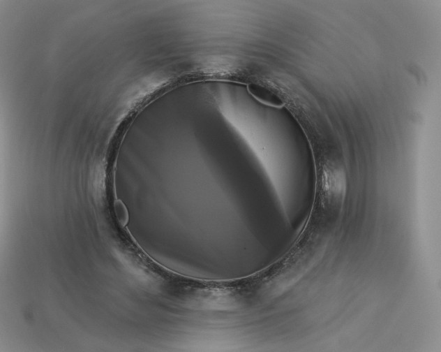 X0000113270492200910011431